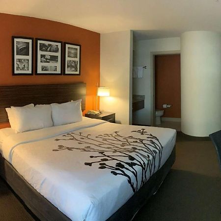 Sleep Inn Phoenix North I-17 מראה חיצוני תמונה